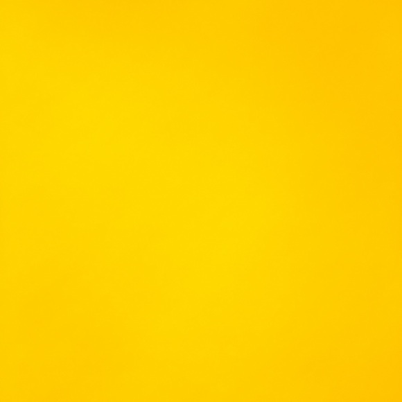 Meet your Posher, Rose - Picture 1 of 1